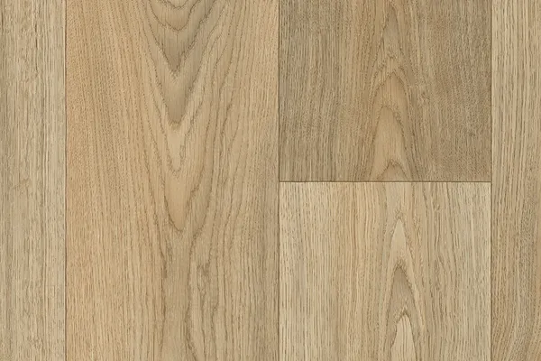 5054