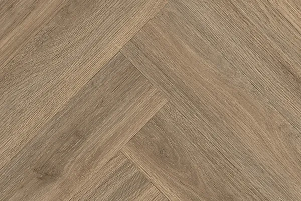 CLARA_545