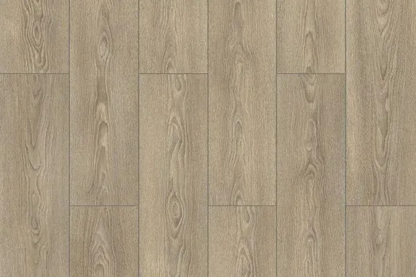 Danube_Oak_FRV001
