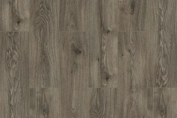Delaware_Oak_FRV003