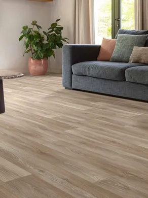 Novus