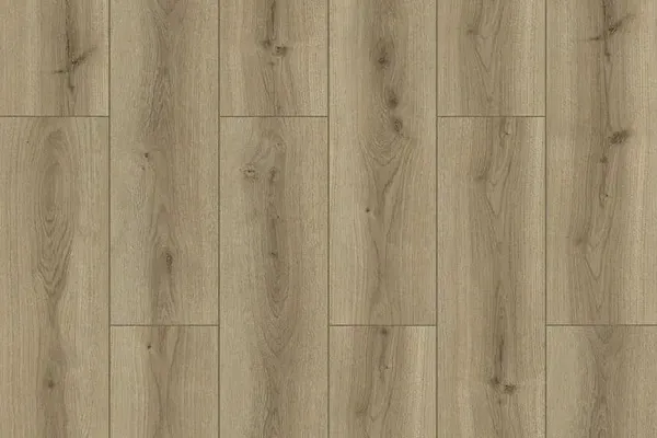 Oak_FRV007