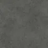 PADUA_599