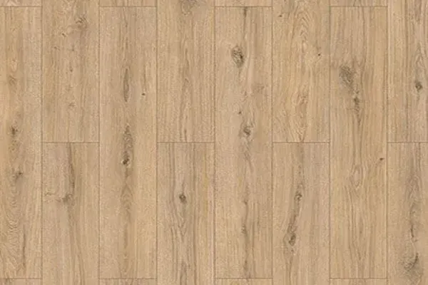 Sand_Oak_62311