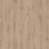 Taupe_Oak_62319