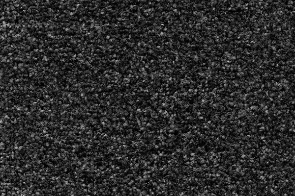 Trinity Sands Graphite