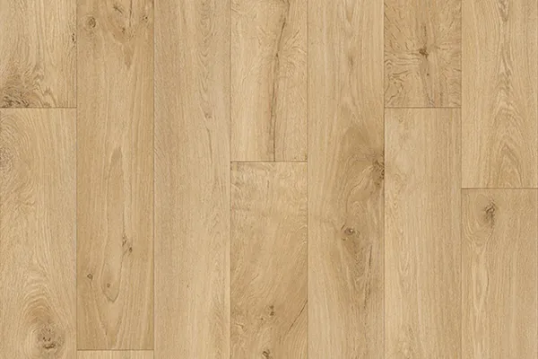 oxford_oak
